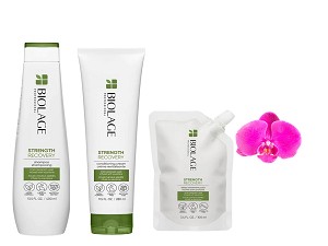 Biolage Strength Recovery Set of 3 shampoo,conditioning cream & deep treatment 