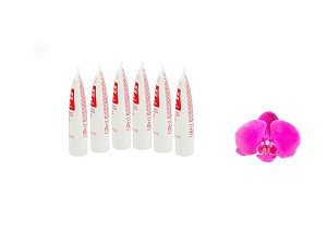 Guinot Pleine Vie Cream 3ml / 0.08oz x 6 Tubes 