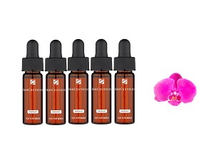 SkinCeuticals Cell Cycle Catalyst 5 Travel Samples 